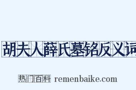 胡夫人薛氏墓铭反义词是什么意思的图片